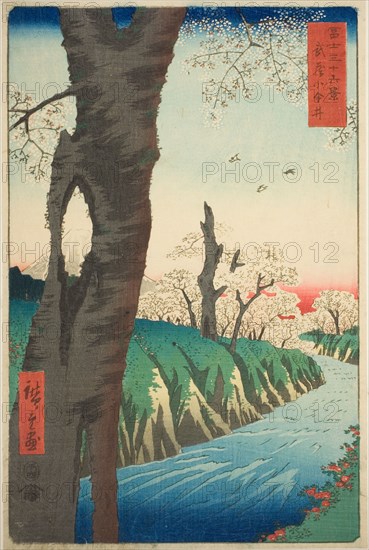 Koganei in Musashi Province (Musashi Koganei), from the series "Thirty-six Views of..., 1858. Creator: Ando Hiroshige.