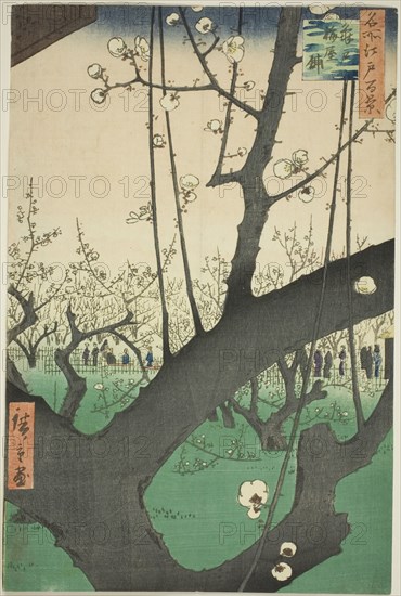 Plum Garden at Kameido (Kameido Umeyashiki), from the series "One Hundred Famous..., 1857. Creator: Ando Hiroshige.