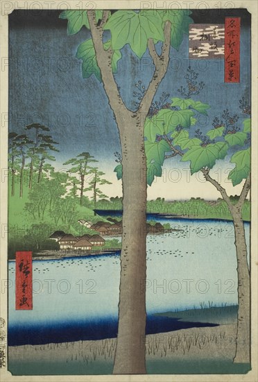 The Paulownia Grove at Akasaka (Akasaka Kiribatake), from the series "One Hundred..., 1856. Creator: Ando Hiroshige.