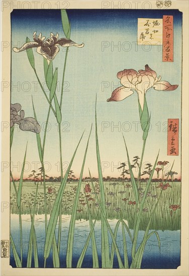 Irises at Horikiri (Horikiri no hanashobu), from the series "One Hundred Famous Views of..., 1857. Creator: Ando Hiroshige.