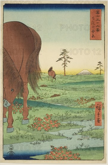 Kogane Plain in Shimosa Province (Shimosa Koganehara), from the series "Thirty-six Views..., 1858. Creator: Ando Hiroshige.