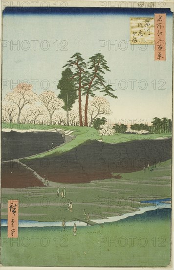 Goten Hill at Shinagawa (Shinagawa Gotenyama), from the series "One Hundred Famous...1856. Creator: Ando Hiroshige.