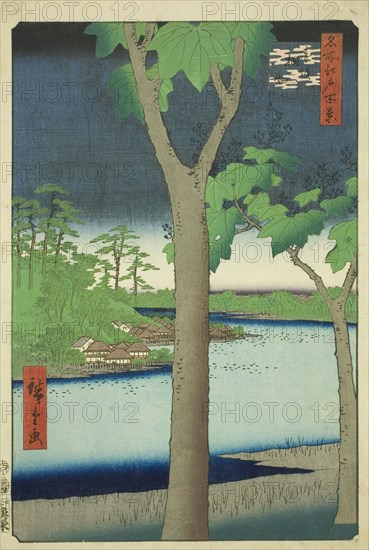 The Paulownia Grove at Akasaka (Akasaka Kiribatake), from the series "One Hundred..., 1856. Creator: Ando Hiroshige.