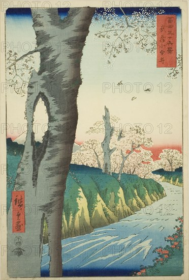 Koganei in Musashi Province (Musashi Koganei), from the series "Thirty-six Views of Mount..., 1858. Creator: Ando Hiroshige.