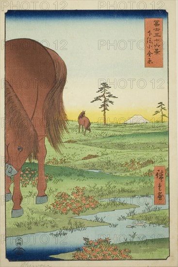 Kogane Plain in Shimosa Province (Shimosa Koganehara), from the series "Thirty-six..., 1858. Creator: Ando Hiroshige.