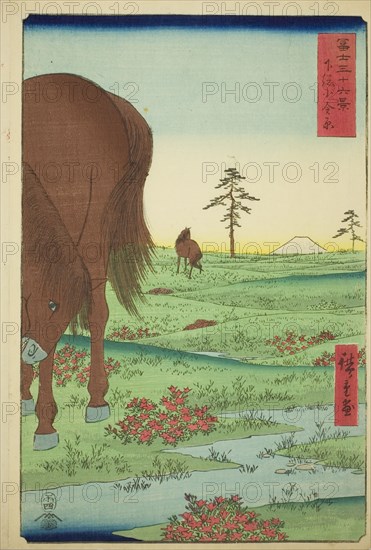 Kogane Plain in Shimosa Province (Shimosa Koganehara), from the series "Thirty-six..., 1858. Creator: Ando Hiroshige.