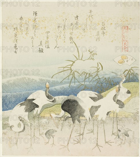 Cranes by the Shore, illustration for The Leg Shell (Ashigai), from the series "A Matching...,1821. Creator: Hokusai.