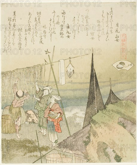 Hanging Abalone Out to Dry, illustration for Abalone (Awabi), from the series "A Matching ..., 1821. Creator: Hokusai.