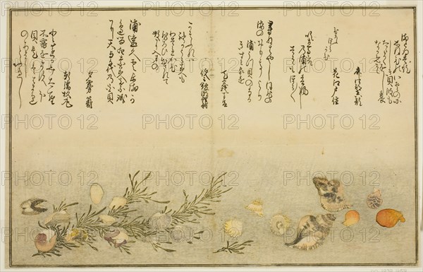 Beni-gai, hora-gai, urauzu-gai, wasure-gai, chiyonohana-gai, and masuho-gai, from..., Japan, 1789. Creator: Kitagawa Utamaro.