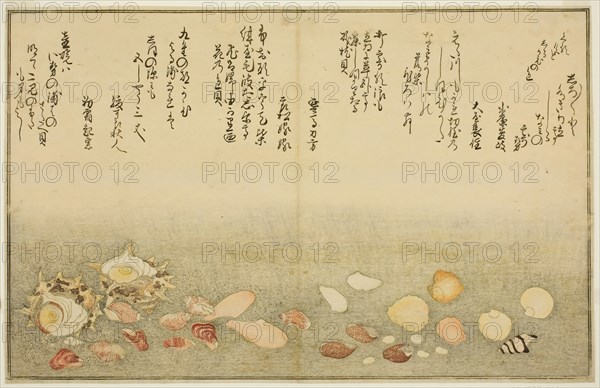 Shiro-gai, namima-gashiwa, makura-gai, iro-gai, aza-gai, sadae-gai, from the illustrated b..., 1789. Creator: Kitagawa Utamaro.