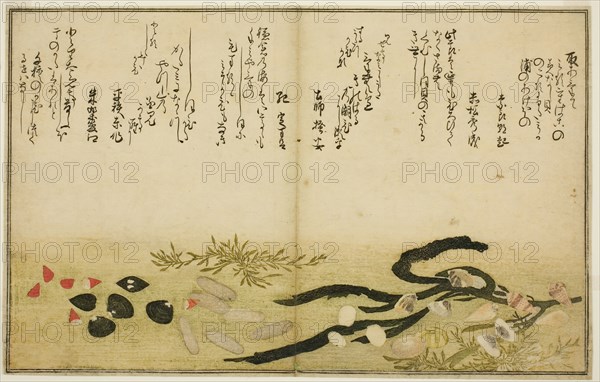 Minashi-gai, shio-gai, katatsu-gai, miso-gai, chijimi-gai, and chigusa-gai, from the illus..., 1789. Creator: Kitagawa Utamaro.