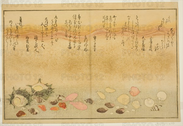 Shiro-gai, namima-gashiwa, makura-gai, iro-gai, aza-gai, sadae-gai, from the illustrated b..., 1789. Creator: Kitagawa Utamaro.