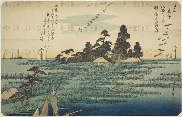 Descending Geese at Haneda (Haneda no rakugan), from the series "Eight Views in the..., c. 1837/38. Creator: Ando Hiroshige.