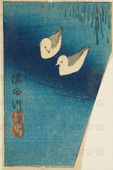 Oystercatchers on the Sumida River (Sumidagawa, miyakodori), section of a sheet from..., c. 1850. Creator: Ando Hiroshige.