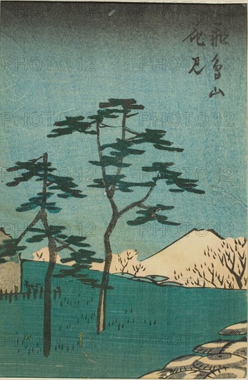 Flower Viewing at Asuka Hill (Asukayama hanami), section of a sheet from the series..., 1852. Creator: Ando Hiroshige.