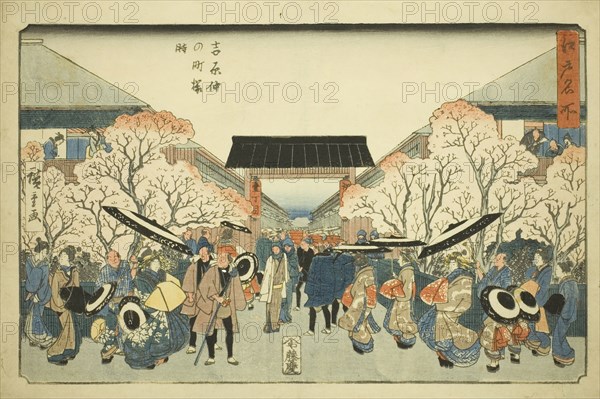 Cherry Blossom Season at Nakanocho in the Yoshiwara (Yoshiwara Nakanocho sakura..., c. 1839/42. Creator: Ando Hiroshige.