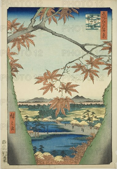 Maple Trees at Mama, Tekona Shrine and Tsugi Bridge (Mama no momiji, Tekona no yashiro, Ts..., 1857. Creator: Ando Hiroshige.