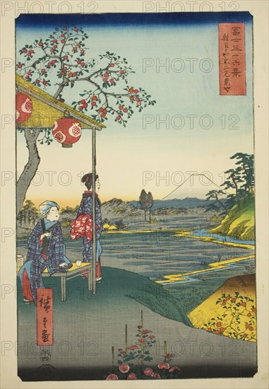 View of Mount Fuji from a Teahouse at Zoshigaya (Zoshigaya Fujimi chaya), from the..., 1858. Creator: Ando Hiroshige.