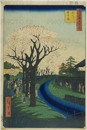 Blossoms on the Tama River Embankment (Tamagawa-zutsumi no hana), from the series..., 1856. Creator: Ando Hiroshige.