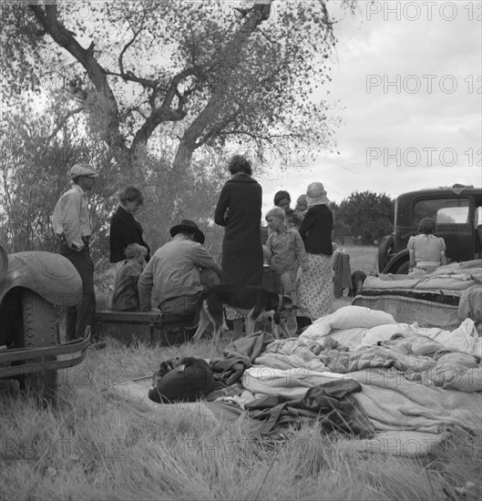 Squatters along highway near Bakersfield, California, 1935. Creator: Dorothea Lange.