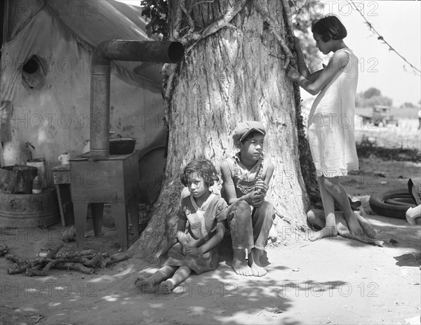 Motherless migrant children - they work in the cotton, 1935. Creator: Dorothea Lange.