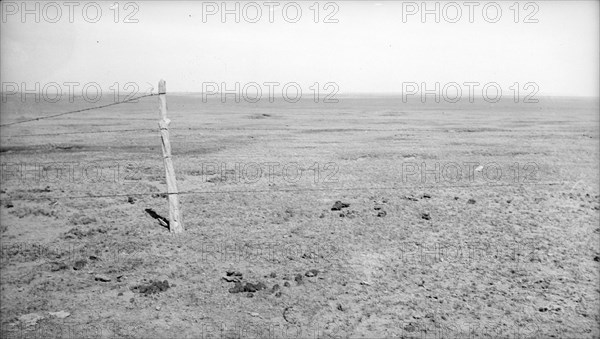 Stand of vega grass eaten off close, New Mexico, 1935. Creator: Dorothea Lange.