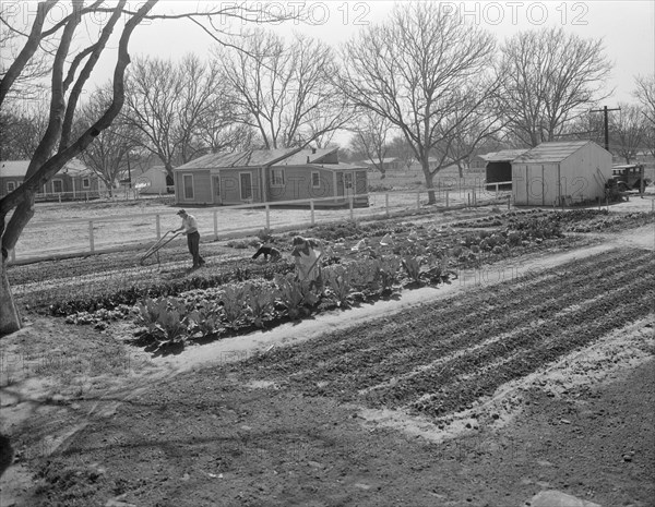 El Monte federal subsistence homesteads, California, 1936. Creator: Dorothea Lange.