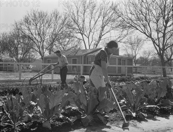 El Monte federal subsistence homesteads, California, 1936. Creator: Dorothea Lange.