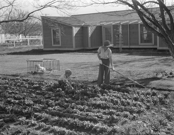 El Monte federal subsistence homesteads, California, 1936. Creator: Dorothea Lange.