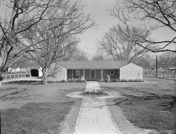 El Monte federal subsistence homesteads, California, 1936. Creator: Dorothea Lange.