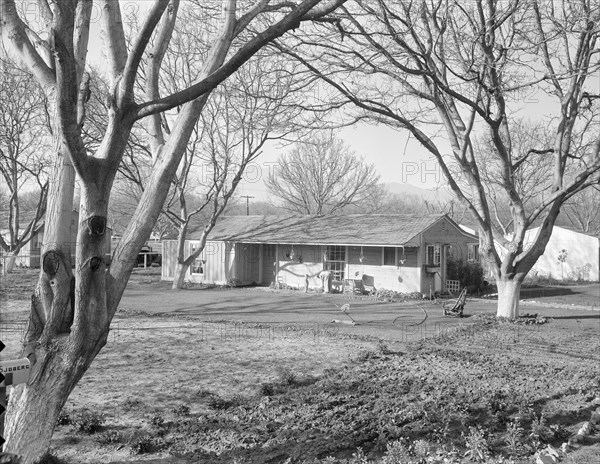 El Monte federal subsistence Homesteads, California, 1936. Creator: Dorothea Lange.