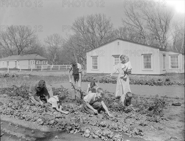 El Monte federal subsistence Homesteads, California, 1936. Creator: Dorothea Lange.