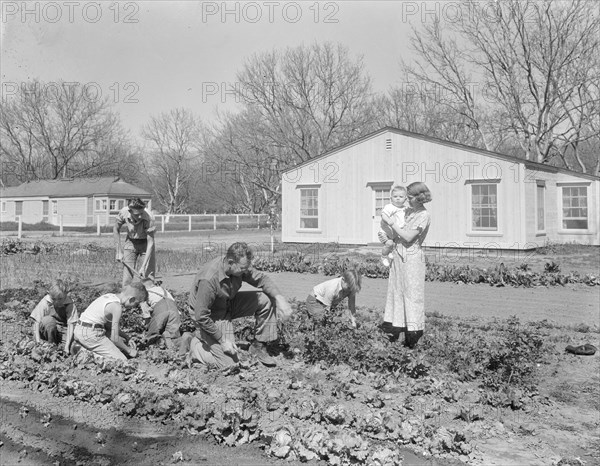 El Monte federal subsistence Homesteads, California, 1936. Creator: Dorothea Lange.