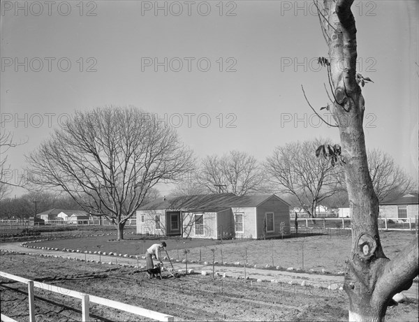 El Monte federal subsistence Homesteads, California, 1936. Creator: Dorothea Lange.