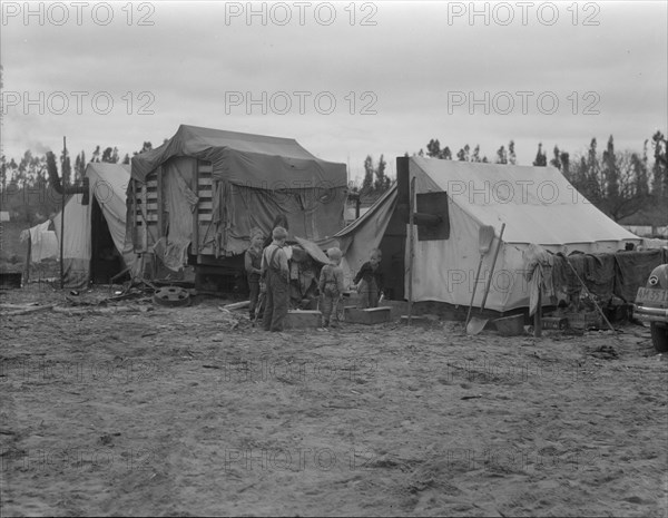 In one of the largest pea camps in California, 1936. Creator: Dorothea Lange.