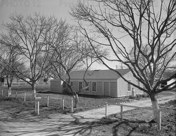 El Monte federal subsistence Homesteads, California, 1936. Creator: Dorothea Lange.