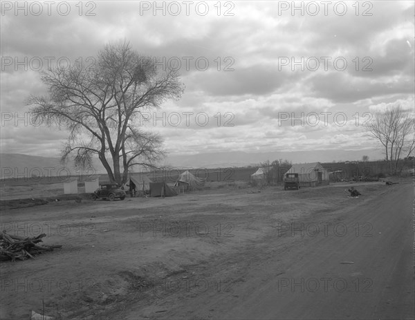 Part of a roadside ranch camp, twelve tents in this group, California, 1936. Creator: Dorothea Lange.