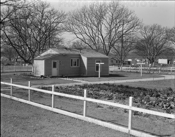 El Monte federal subsistence housing - 100 homes all occupied, California, 1936. Creator: Dorothea Lange.