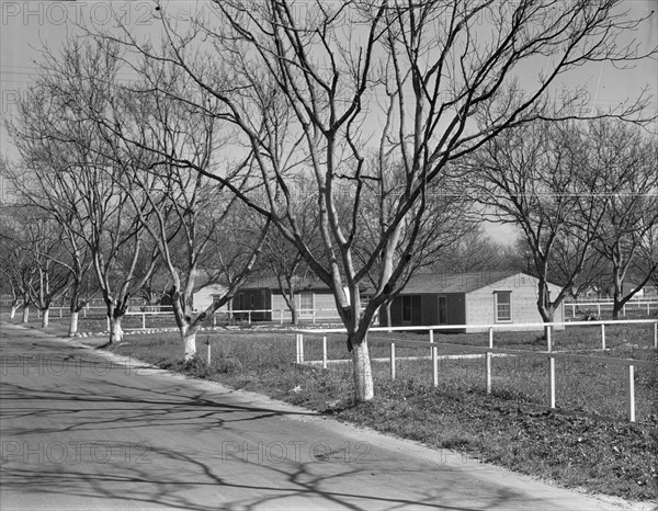 El Monte federal subsistence housing - 100 homes all occupied, California, 1936. Creator: Dorothea Lange.