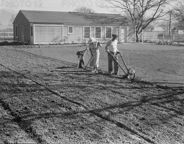 El Monte federal subsistence housing, California, 1936. Creator: Dorothea Lange.