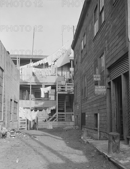 Slums of San Francisco, California, 1935. Creator: Dorothea Lange.