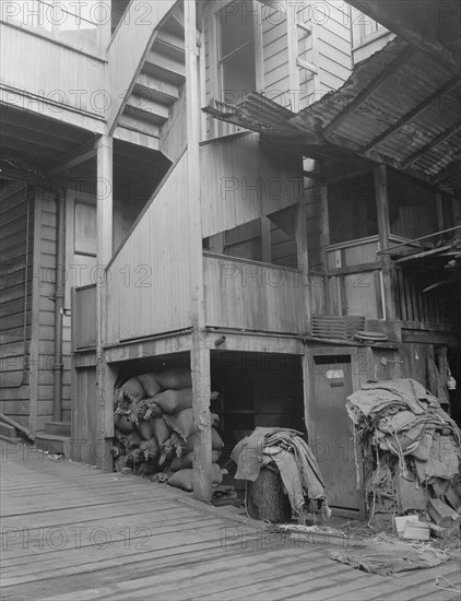 Backyard, North Beach District (Italians), San Francisco, California, 1936. Creator: Dorothea Lange.