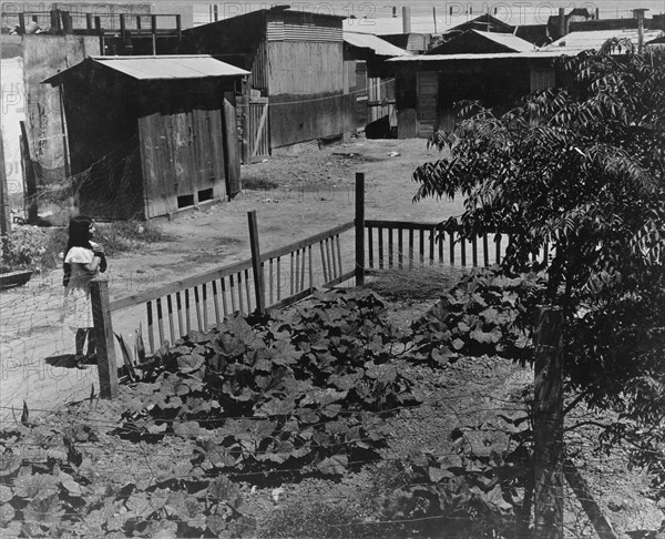 Mexican field laborers' houses, Brawley, Imperial Valley, California, 1935. Creator: Dorothea Lange.