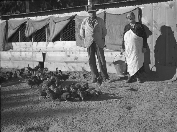 Rehabilitation clients, five miles outside Phoenix, Arizona, 1935. Creator: Dorothea Lange.