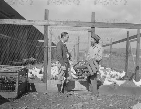 Rural Rehabilitation Administration client with the Rehabilitation Administration..., CA, 1936. Creator: Dorothea Lange.