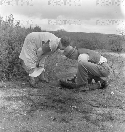 Migrant pea workers on the road with tire trouble, California, 1936. Creator: Dorothea Lange.