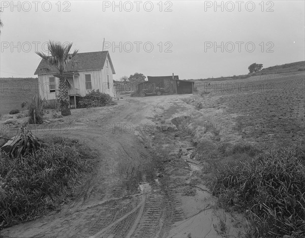 Eroded field, San Luis Obispo County, California, 1936. Creator: Dorothea Lange.