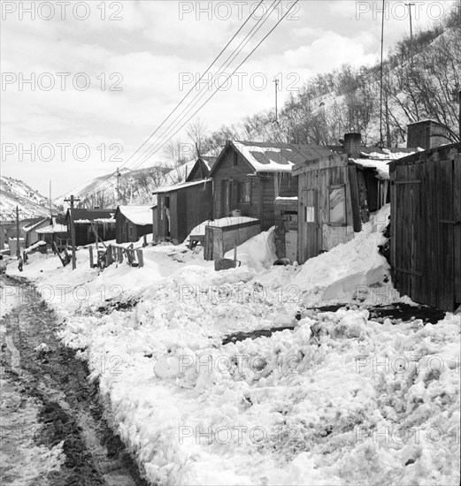 Company housing, Consumers, near Price, Utah, 1936. Creator: Dorothea Lange.