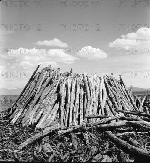 Central Utah dry land adjustment project, forty miles from Tooele, Utah, 1936. Creator: Dorothea Lange.