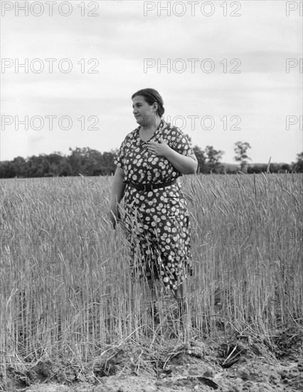 Jewish-American farm mother, Mrs. Cohen, wife of the farm manager, Hightstown, New Jersey, 1936. Creator: Dorothea Lange.